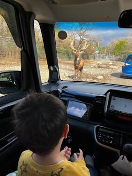 那須サファリパークに投稿された画像（2023/11/19）