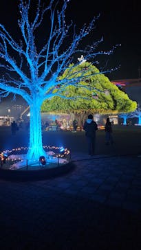 東京メガイルミに投稿された画像（2023/11/19）