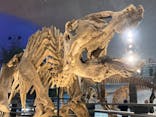 福井県立恐竜博物館に投稿された画像（2023/11/19）