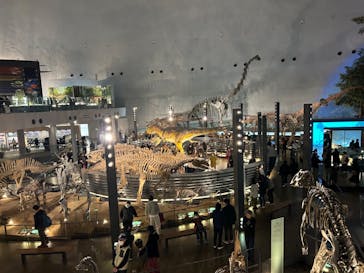 福井県立恐竜博物館に投稿された画像（2023/11/19）