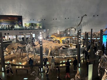 福井県立恐竜博物館に投稿された画像（2023/11/19）