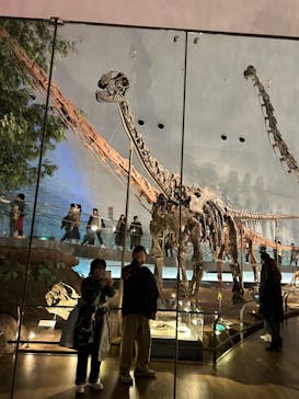 福井県立恐竜博物館に投稿された画像（2023/11/19）