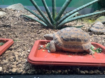 サンシャイン水族館に投稿された画像（2023/11/19）