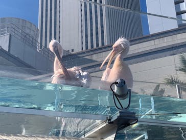 サンシャイン水族館に投稿された画像（2023/11/19）