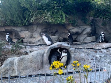 サンシャイン水族館に投稿された画像（2023/11/19）