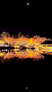 国営昭和記念公園 秋の夜散歩に投稿された画像（2023/11/19）
