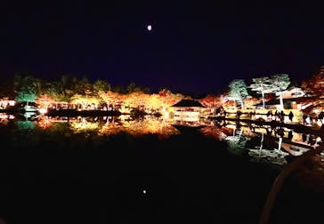国営昭和記念公園 秋の夜散歩に投稿された画像（2023/11/19）