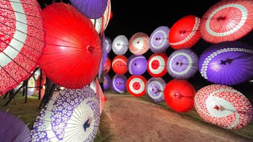 国営昭和記念公園 秋の夜散歩に投稿された画像（2023/11/19）