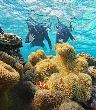 オースリーシュノーケル宮古島に投稿された画像（2023/11/19）