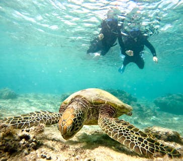 オースリーシュノーケル宮古島に投稿された画像（2023/11/19）