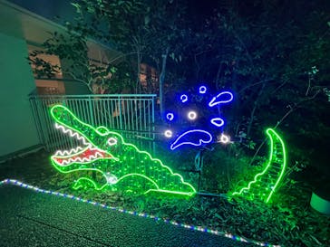 アクロス福岡イルミネーションに投稿された画像（2023/11/19）