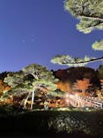 国営昭和記念公園 秋の夜散歩に投稿された画像（2023/11/19）