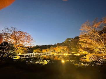 国営昭和記念公園 秋の夜散歩に投稿された画像（2023/11/19）