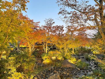 国営昭和記念公園 秋の夜散歩に投稿された画像（2023/11/19）