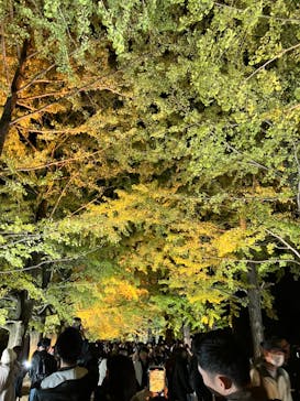 国営昭和記念公園 秋の夜散歩に投稿された画像（2023/11/19）