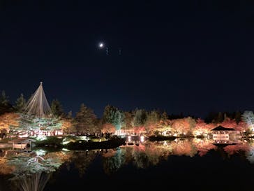 国営昭和記念公園 秋の夜散歩に投稿された画像（2023/11/19）