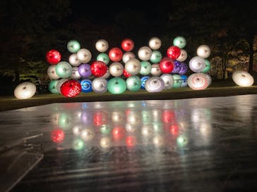 国営昭和記念公園 秋の夜散歩に投稿された画像（2023/11/19）