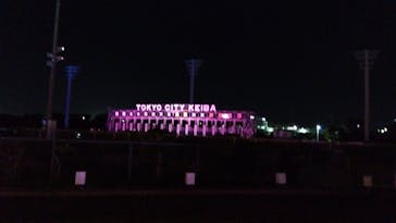 東京メガイルミに投稿された画像（2023/11/19）