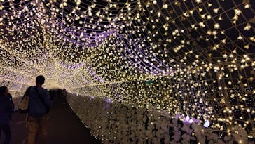 東京メガイルミに投稿された画像（2023/11/19）