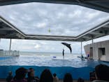 上越市立水族博物館 うみがたりに投稿された画像（2023/11/19）