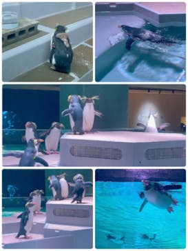 AOAO SAPPOROに投稿された画像（2023/11/19）