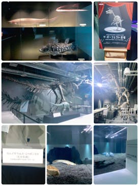 AOAO SAPPOROに投稿された画像（2023/11/19）