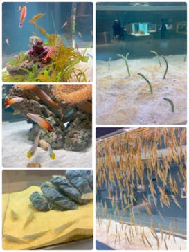 AOAO SAPPOROに投稿された画像（2023/11/19）