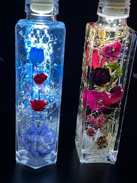 ずこうしつ〜sugamo〜に投稿された画像（2023/11/19）