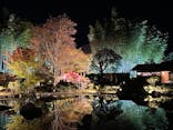 国営昭和記念公園 秋の夜散歩に投稿された画像（2023/11/19）