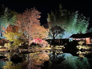 国営昭和記念公園 秋の夜散歩に投稿された画像（2023/11/19）