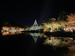 国営昭和記念公園 秋の夜散歩に投稿された画像（2023/11/19）