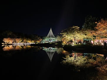 国営昭和記念公園 秋の夜散歩に投稿された画像（2023/11/19）