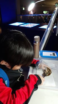 新江ノ島水族館に投稿された画像（2023/11/19）