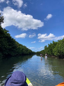 西表島 ADVENTURE PiPi（アドベンチャーピピ）に投稿された画像（2023/11/19）