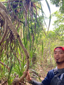 西表島 ADVENTURE PiPi（アドベンチャーピピ）に投稿された画像（2023/11/19）