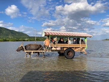 西表島 ADVENTURE PiPi（アドベンチャーピピ）に投稿された画像（2023/11/19）