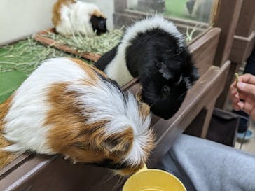 成田ゆめ牧場に投稿された画像（2023/11/19）