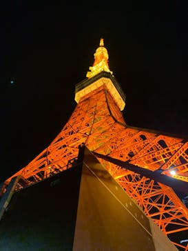 東京タワーに投稿された画像（2023/11/19）