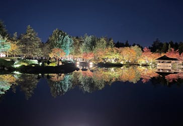 国営昭和記念公園 秋の夜散歩に投稿された画像（2023/11/19）