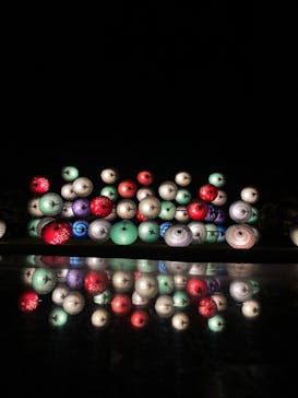 国営昭和記念公園 秋の夜散歩に投稿された画像（2023/11/19）