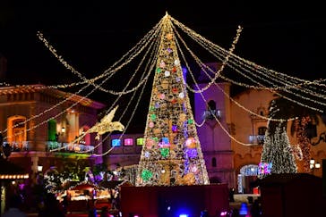 フェスタ・ルーチェに投稿された画像（2023/11/19）