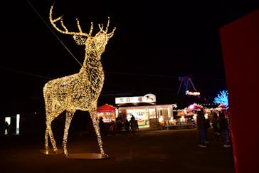 フェスタ・ルーチェに投稿された画像（2023/11/19）