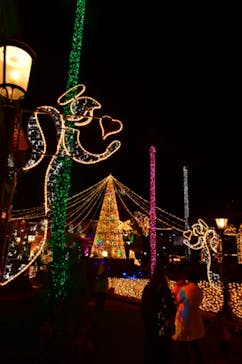 フェスタ・ルーチェに投稿された画像（2023/11/19）