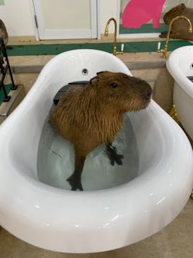 アニタッチ MARK IS 静岡に投稿された画像（2023/11/19）