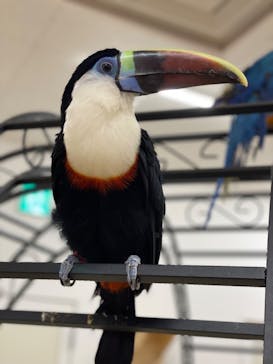 アニタッチ MARK IS 静岡に投稿された画像（2023/11/19）