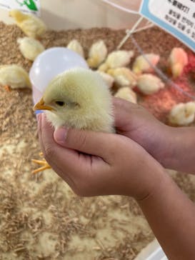 アニタッチ MARK IS 静岡に投稿された画像（2023/11/19）