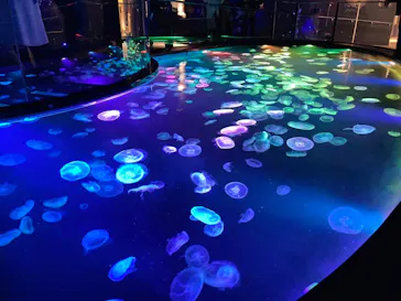 すみだ水族館に投稿された画像（2023/11/19）