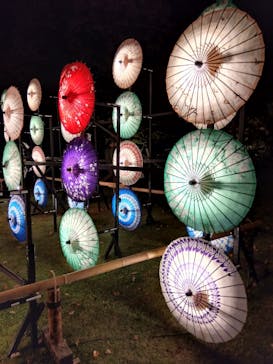 国営昭和記念公園 秋の夜散歩に投稿された画像（2023/11/19）