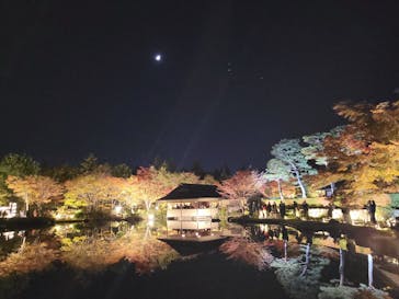 国営昭和記念公園 秋の夜散歩に投稿された画像（2023/11/19）