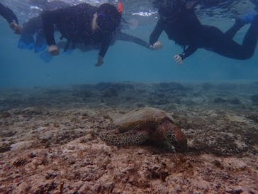 宮古島 ADVENTURE PiPi（ミヤコジマ アドベンチャー ピピ）に投稿された画像（2023/11/19）